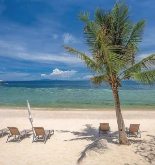 Palm-lined beach with sun loungers at Nangyuan Island Dive Resort