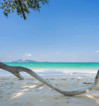 Surrounding environment at The Sevenseas Resort Koh Kradan